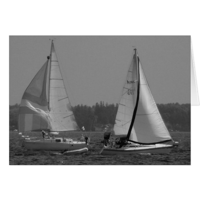 Lake Champlain Sailbots (Vorderseite (Horizontal))