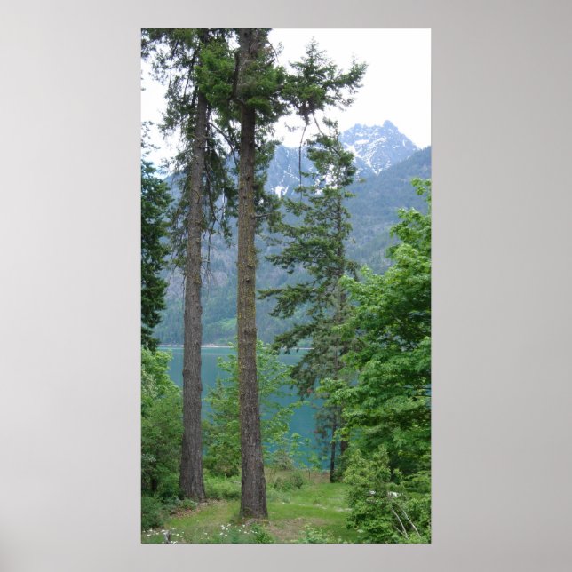 Lake Chelan Poster (Vorne)
