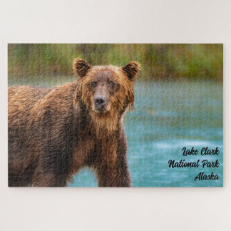 Lake Clark National Park Grizzly Bear Puzzle