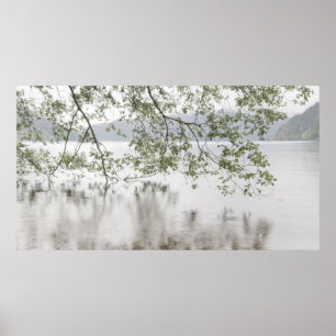 Lake Crescent Olympic-Nationalpark, WA Poster