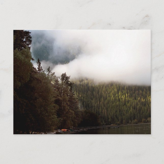 Lake Crescent Washington Postkarte (Vorderseite)