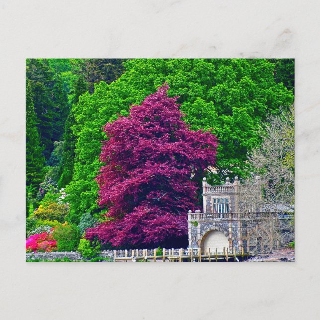 Lake District Postkarte (Vorderseite)