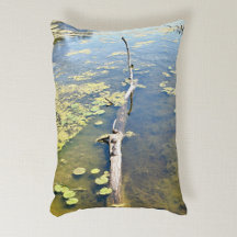 Lake Erie Metropark Turtle Log Horizontal