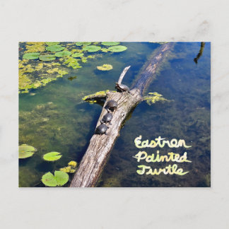 Lake Erie Metropark Turtle Log Vertikal mit Text Postkarte
