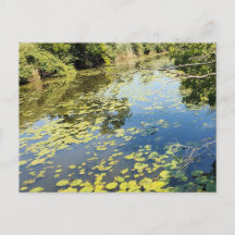 Lake Erie Metropark View