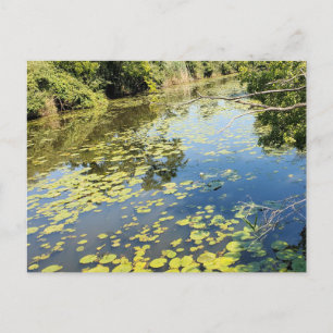 Lake Erie Metropark View Postkarte