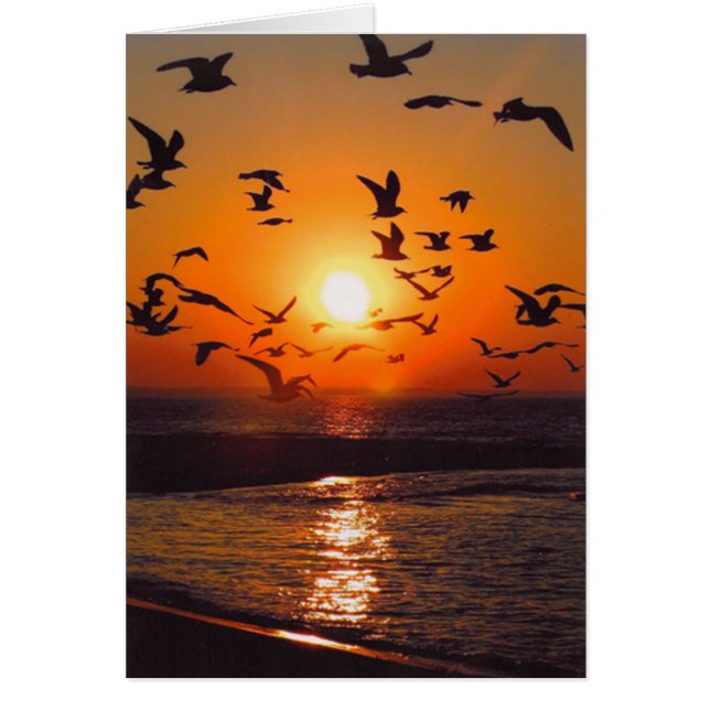 Lake Erie Sunset (Vorne)