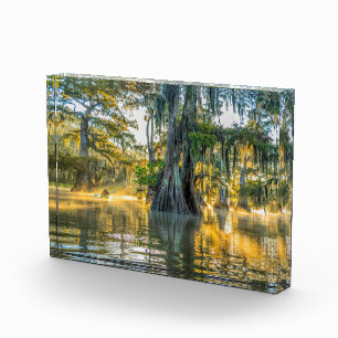 Lake Fausse Pointe State Park Fotoblock