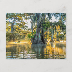 Lake Fausse Pointe State Park Postkarte