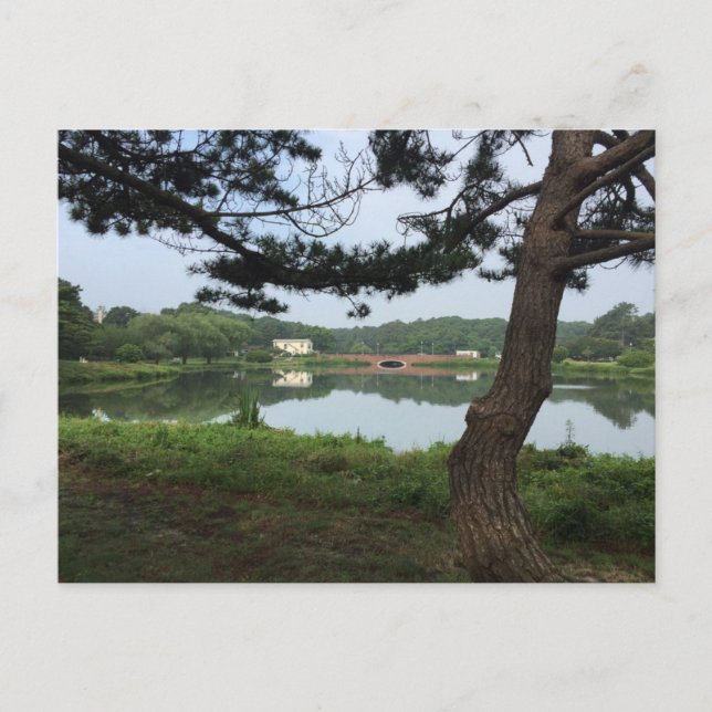 Lake Gerar RehoBeide Beach Delaware DE Fotografie Postkarte (Vorderseite)