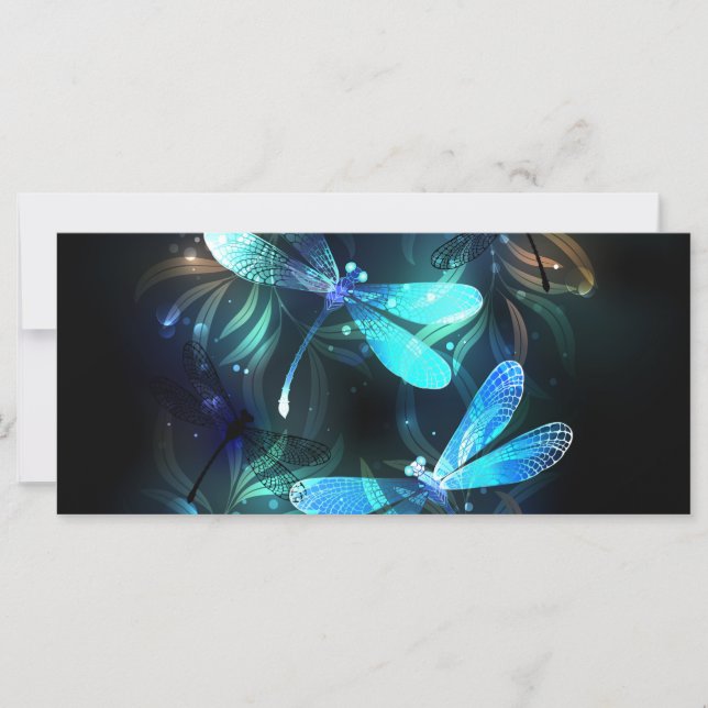 Lake Glows Dragonflies (Vorderseite)