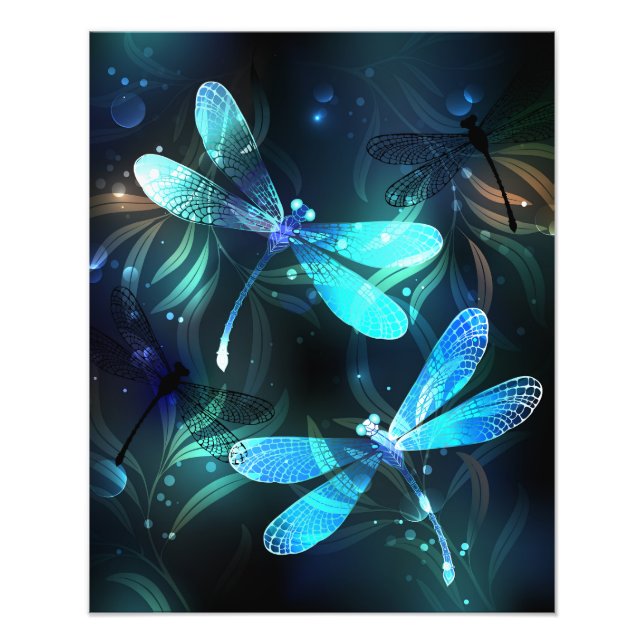 Lake Glows Dragonflies Fotodruck (Vorne)