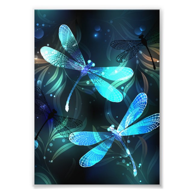 Lake Glows Dragonflies Fotodruck (Vorne)