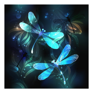 Lake Glows Dragonflies Fotodruck
