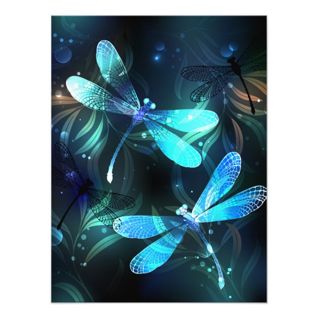 Lake Glows Dragonflies Fotodruck (Vorne)