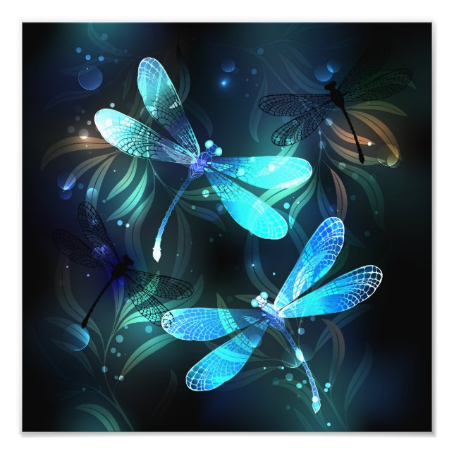 Lake Glows Dragonflies Fotodruck (Vorne)