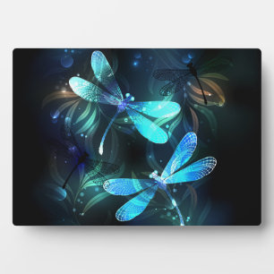 Lake Glows Dragonflies Fotoplatte
