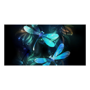 Lake Glows Dragonflies Poster