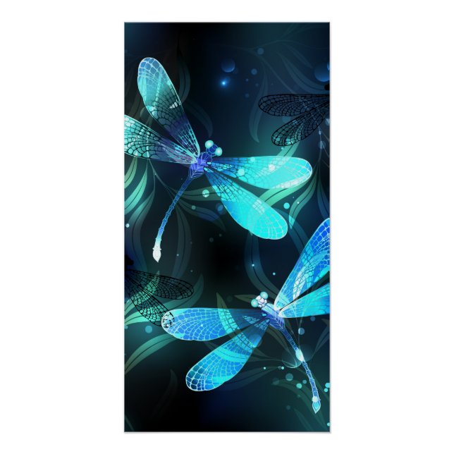 Lake Glows Dragonflies Poster (Vorderseite)