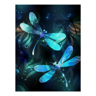 Lake Glows Dragonflies Poster