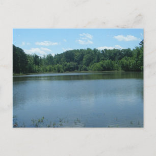 Lake Greenwood Cove Postkarte
