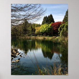 Lake Landscape Poster