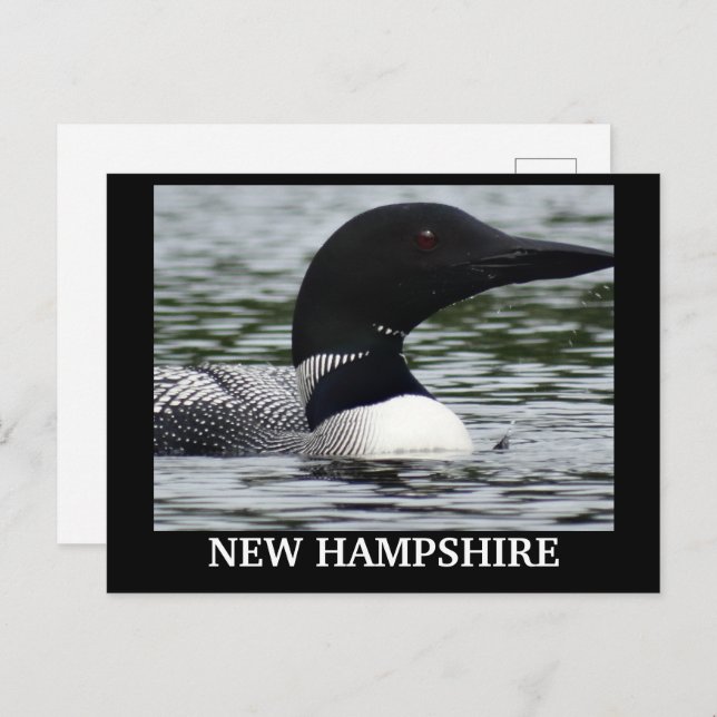 Lake Loon nahes Foto Postkarte (Vorne/Hinten)