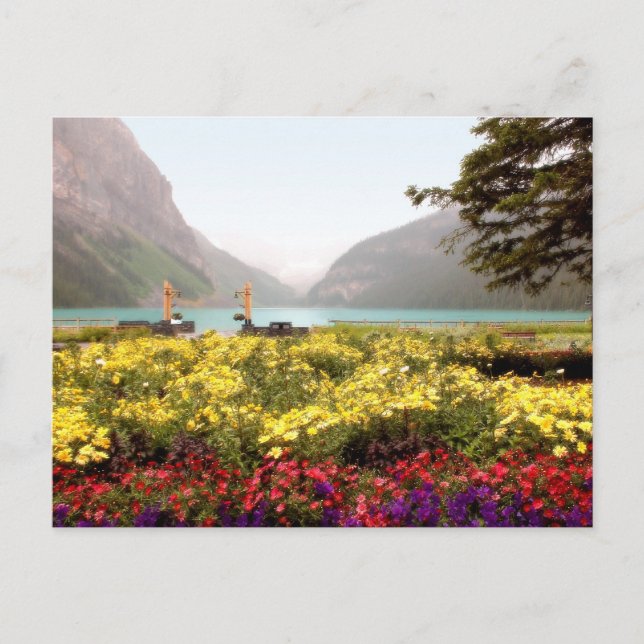 Lake Louise Gardens Postkarte (Vorderseite)