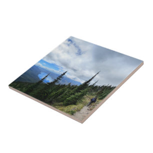 Lake McDonald aus Mt Brown - Glacier National Park Fliese