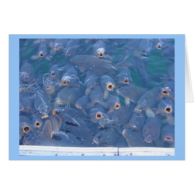 Lake Mead Fischen (Vorderseite (Horizontal))