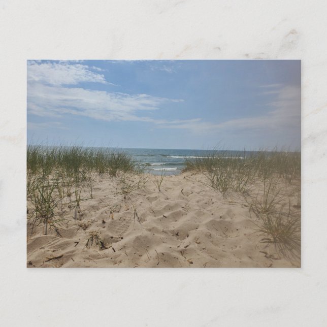 Lake Michigan Dunes Postkarte (Vorderseite)