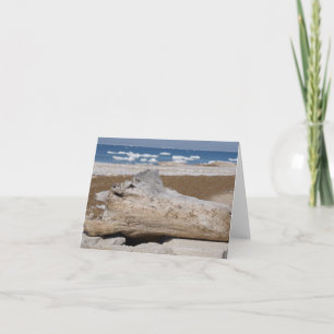 Lake Michigan Iceberg & Driftwood Blank Notecards Karte