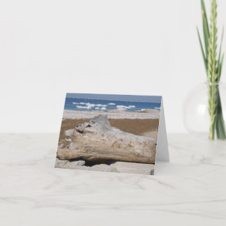 Lake Michigan Iceberg & Driftwood Blank Notecards Karte