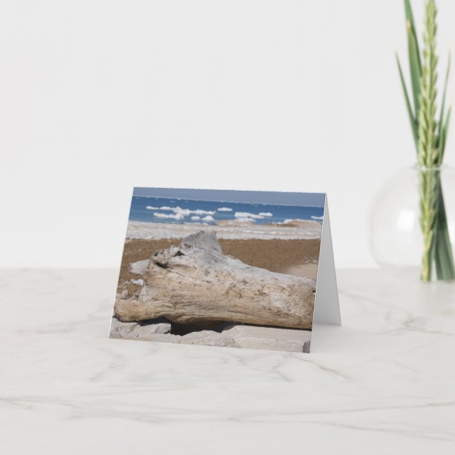 Lake Michigan Iceberg & Driftwood Blank Notecards Karte (Vorderseite)