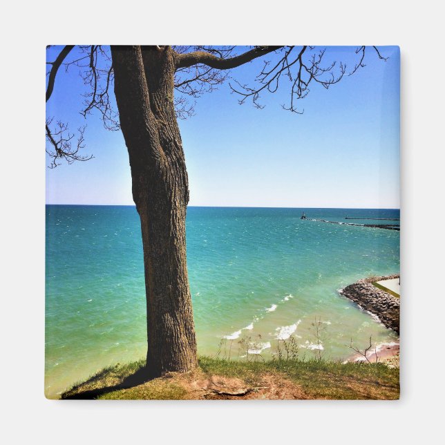 Lake Michigan, Port Washington, Wisconsin Magnet (Vorne)