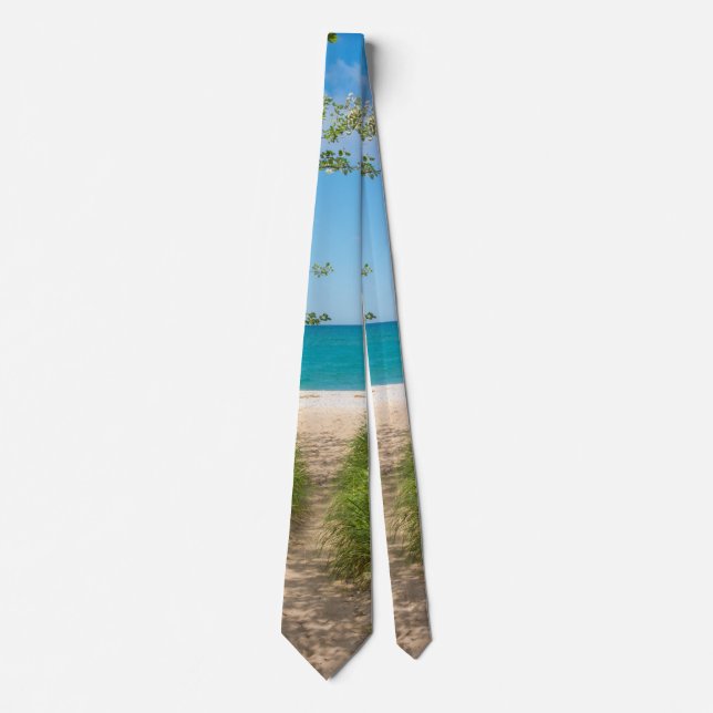 Lake Michigan Tranquility Neck Tie Krawatte (Vorderseite)