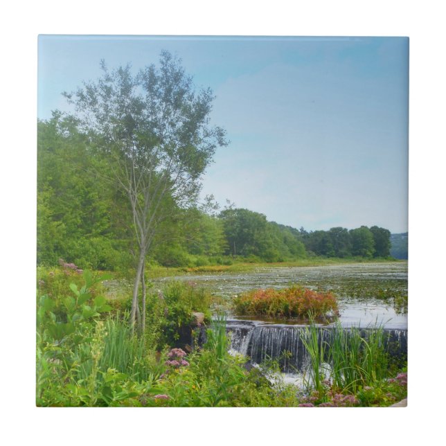 Lake Quanipaug Trivet Fliese (Vorderseite)