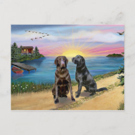 Lake Road - Zwei Labrador Retrievers (Choc-Blk) Postkarte
