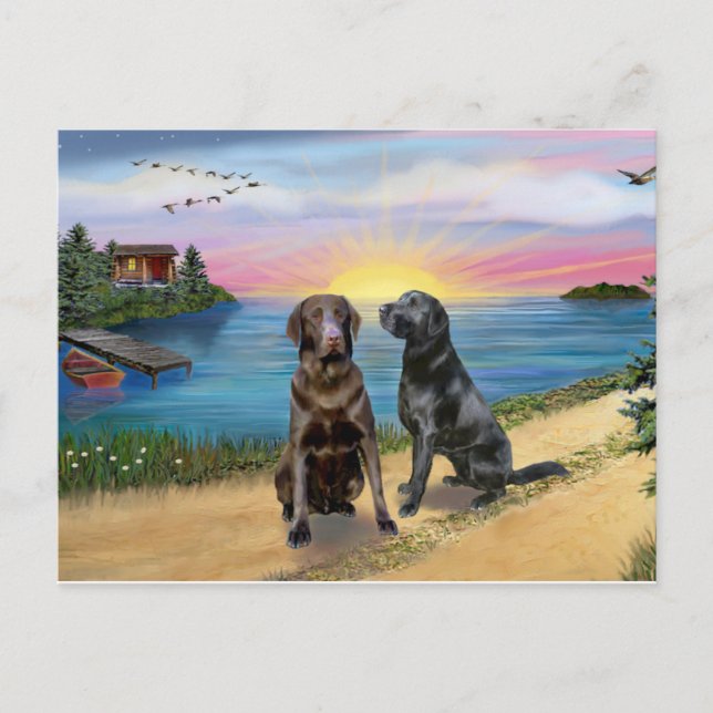 Lake Road - Zwei Labrador Retrievers (Choc-Blk) Postkarte (Vorderseite)