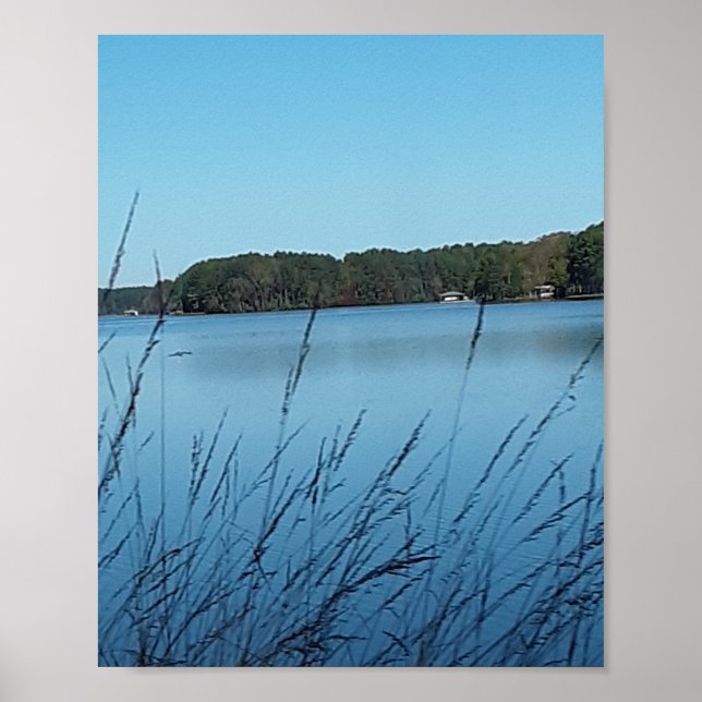 Lake Scene Poster (Vorne)