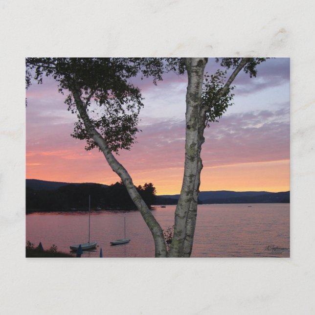 Lake Sunset Postcard Postkarte (Vorderseite)