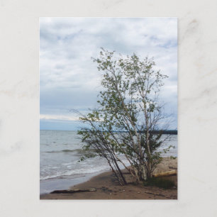 Lake Superior Postkarte