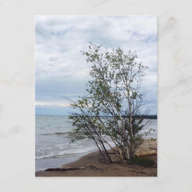 Lake Superior Postkarte (Vorderseite)