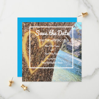 Lake Tahoe Blue Water Tree Herzliche Liebe Save The Date