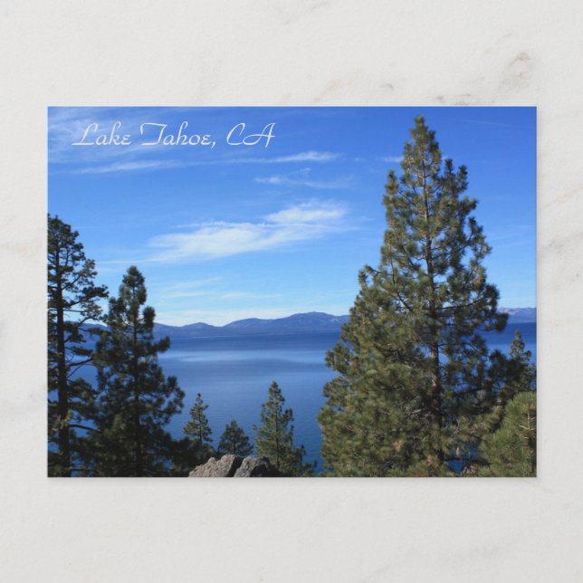 Lake Tahoe, CA Postcard Postkarte (Vorderseite)