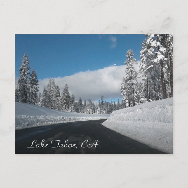 Lake Tahoe, CA Postcard Postkarte (Vorderseite)