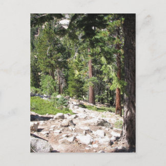 Lake Tahoe Postkarte