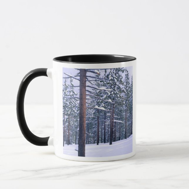 LAKE TAHOE STAAT PARK, NEVADA. USA. Frischer Schne Tasse (Links)