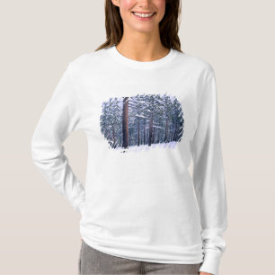 LAKE TAHOE STATE PARK, NEVADA. USA. Frischer Schne T-Shirt