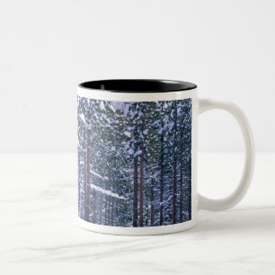 LAKE TAHOE STATE PARK, NEVADA. USA. Frischer Schne Zweifarbige Tasse
